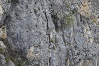 intervencija austrijanci1